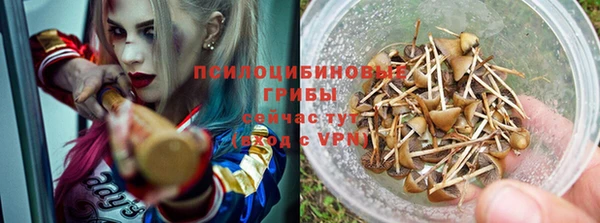 тгк Елизово