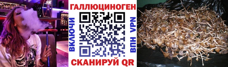 Галлюциногенные грибы мухоморы Мариинский Посад